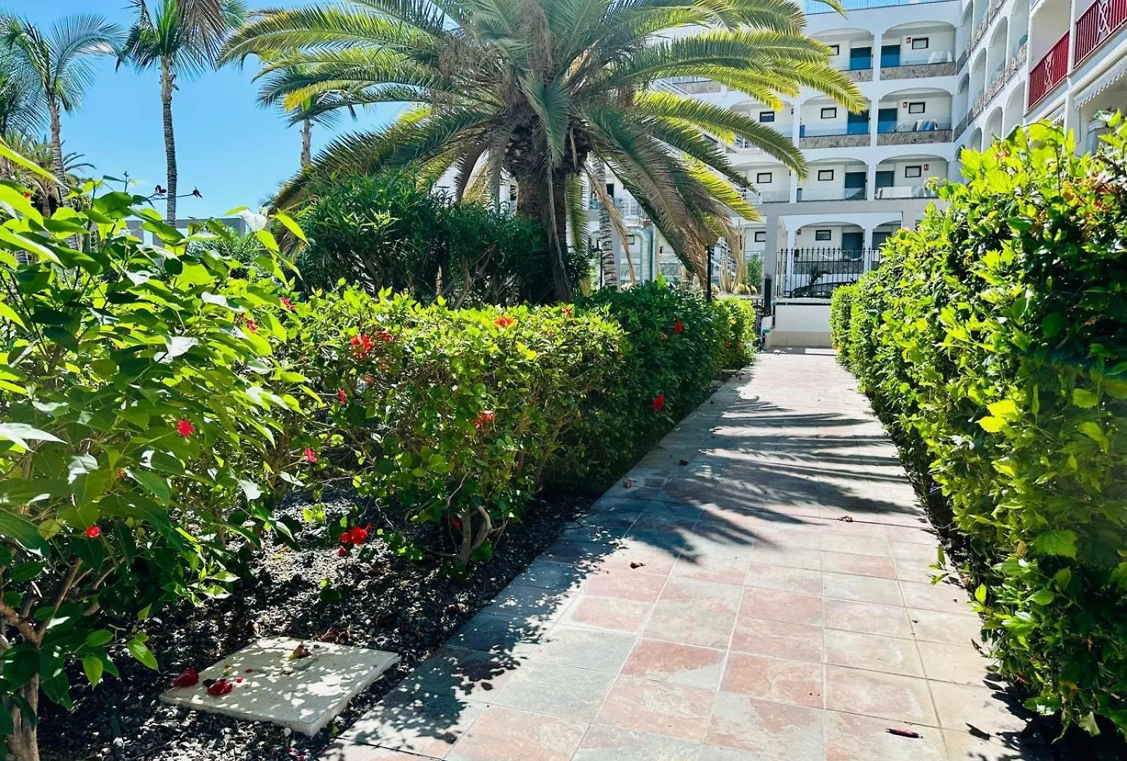 Playa Del Cura - Beachside Retreat Daire Playa Del Cura (Gran Canaria)